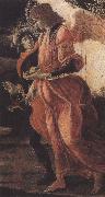 Sandro Botticelli, Trinity with Mary Magdalene,St john the Baptist,Tobias  and the Angel (mk36)